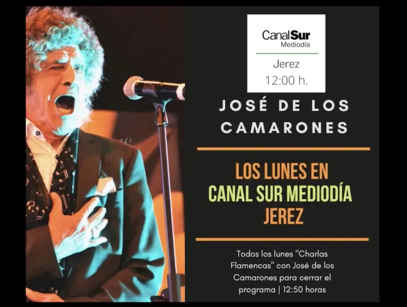 José de los Camarones en Charlas Flamencas de Canal Sur
